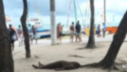 Polícia divulga imagem de suspeitos por morte de pescador na orla de Maceió