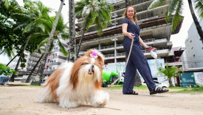 Alagoas supera meta de vacinação antirrábica de cães e gatos