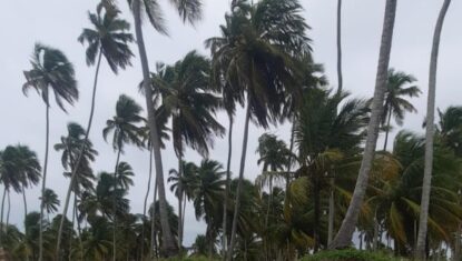 Alagoas emite alertas de ventos fortes no Litoral e baixa umidade no Sertão