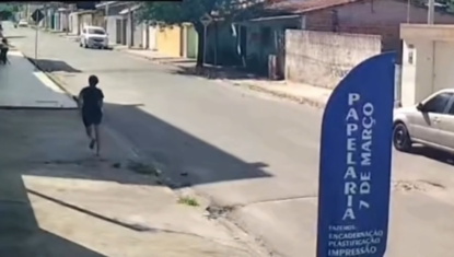 Pitbull solto ataca e mata pinscher que passeava com menina de 7 anos em Arapiraca; VÍDEO
