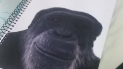 Professor é demitido suspeito de comparar um estudante negro a um chimpanzé em escola de Maceió