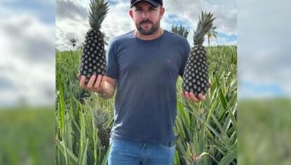 Produtor de abacaxi assassinado em pizzaria no TO teve morte encomendada por fazendeiro rival