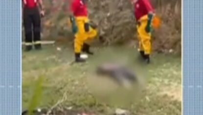 Corpo em decomposição é encontrado em córrego no Vale do Reginaldo