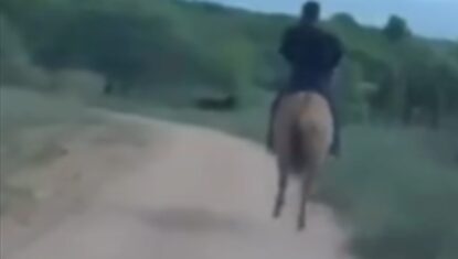 VÍDEO: delegado usa cavalo para prender suspeito de estuprar criança no Sertão de Alagoas