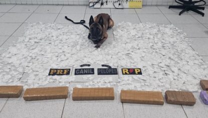 Polícia apreende cocaína