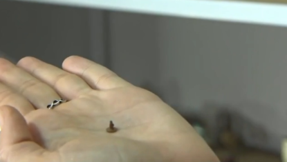 Artesão de AL faz miniatura em cerâmica do tamanho de grão de arroz