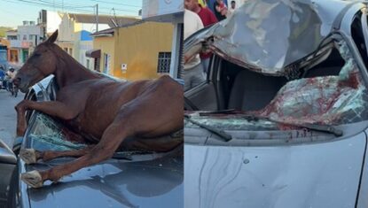 Cavalo desgovernado atinge carro parado e amassa teto em Alagoas; VÍDEO