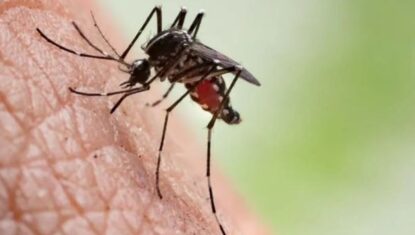Recém-nascida de 18 dias morre após nascer com chikungunya em Alagoas