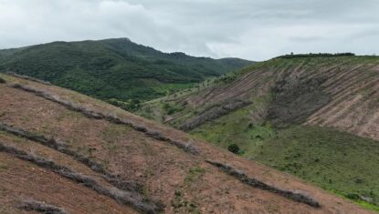 PF prende investigado por desmatar área igual a 800 campos de futebol na Caatinga em AL