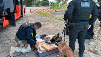 PRF prende passageiro e apreende 31 kg de maconha dentro de ônibus interestadual em Alagoas