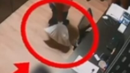 Polícia indicia dois funcionários por maus-tratos e morte de gata dentro de academia de Maceió